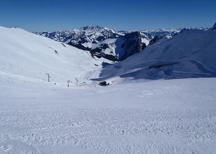 Gais Alpins Montreux