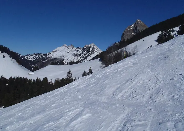 Gais Alpins Montreux